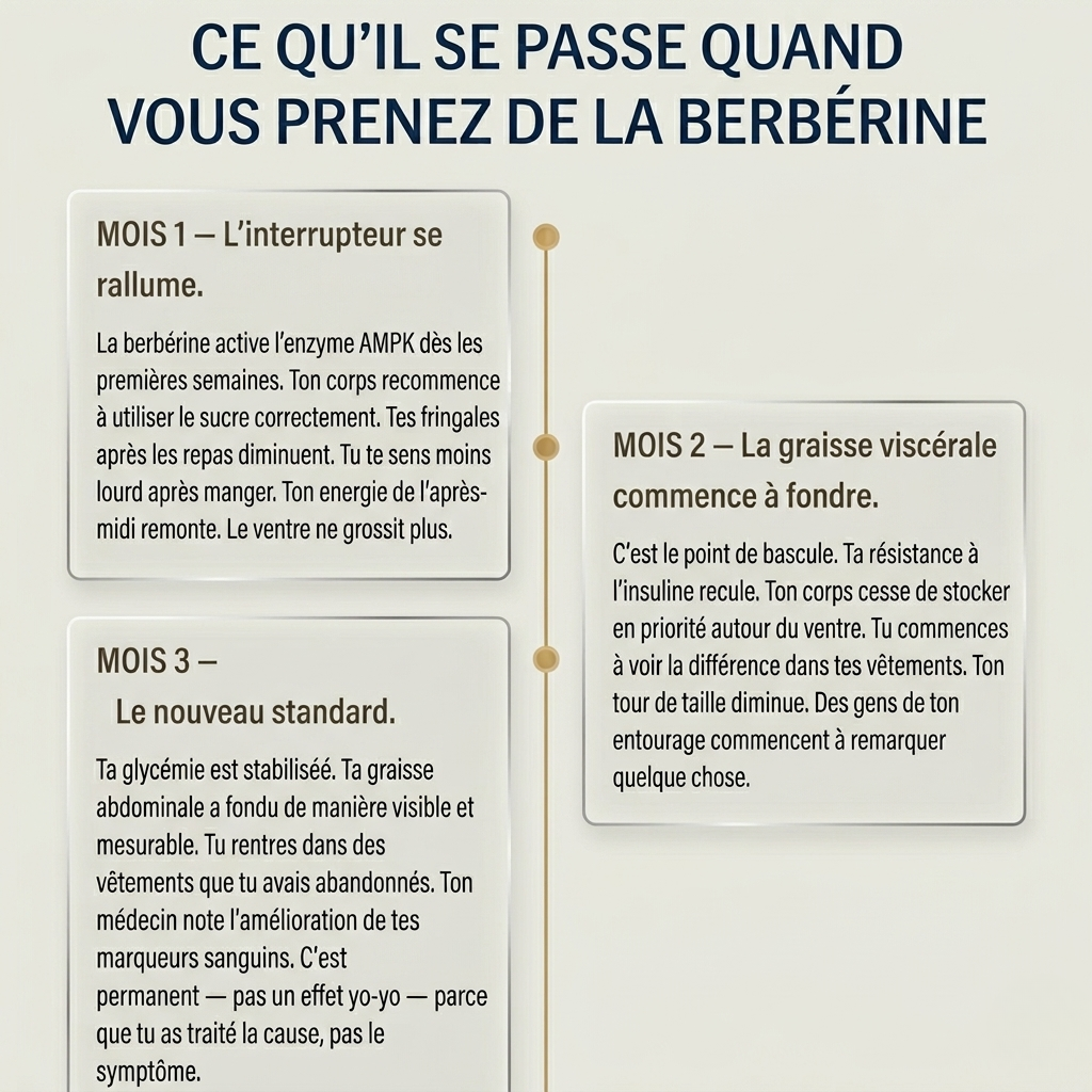 Zvelt  Berbérine Perte de Poids  100% Naturel