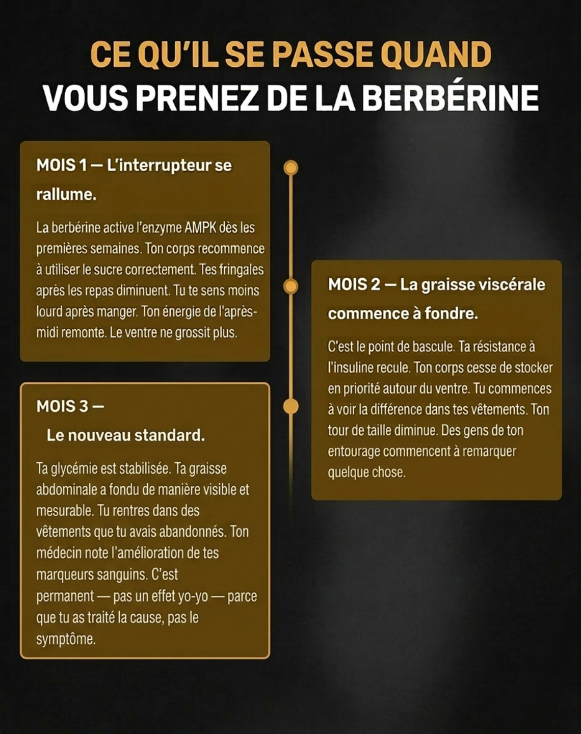 Zvelt Berbérine Perte de Poids Homme