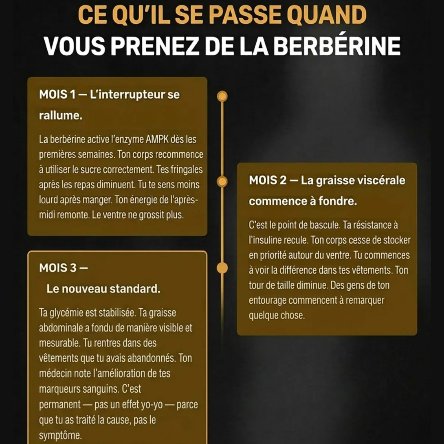 Zvelt Berbérine Perte de Poids Homme